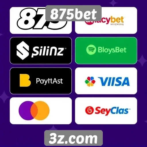 Comparação entre métodos de pagamento oferecidos no 875bet